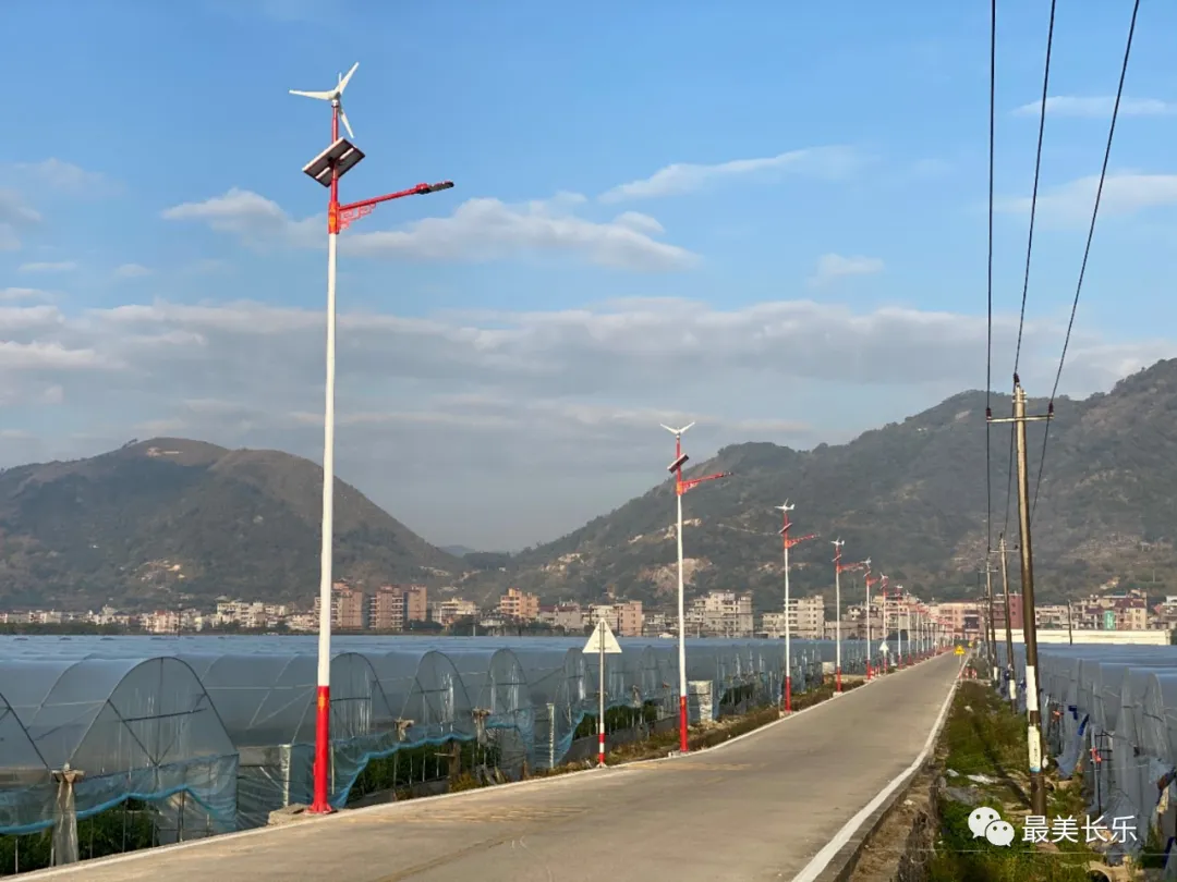 長樂這個村不得了！土地流轉(zhuǎn)生“金”村民增收致富