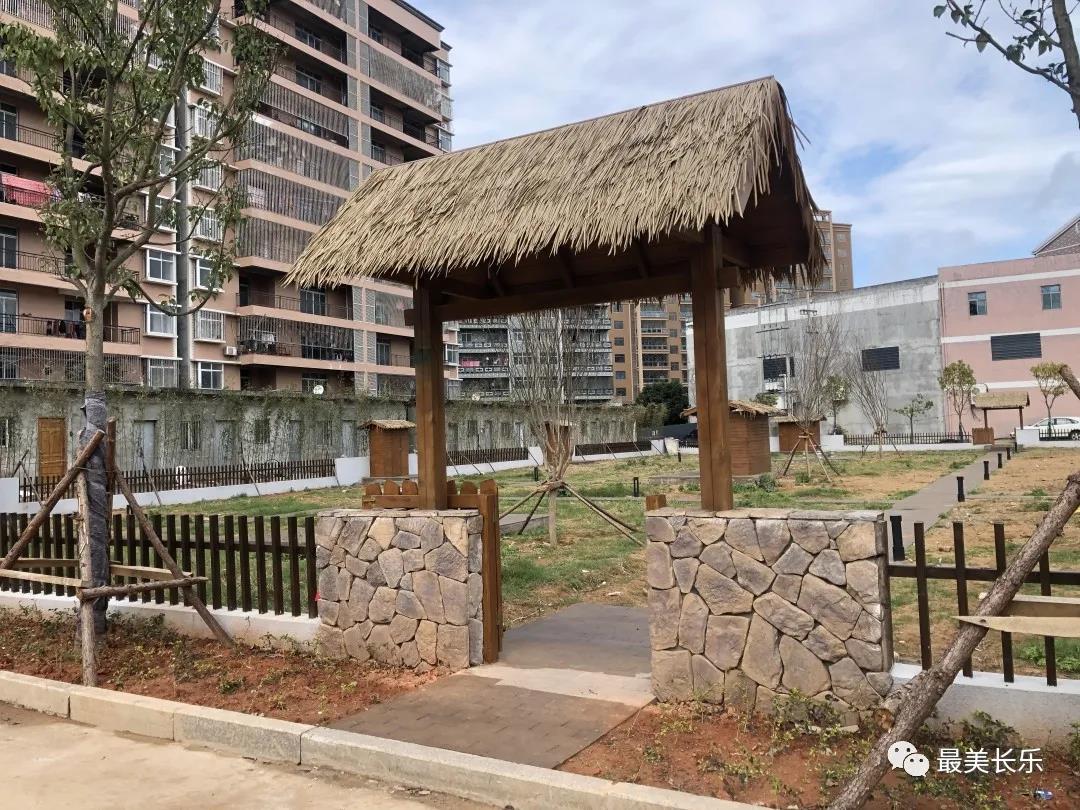 閑置地變身“共享菜園” 鵬謝村環(huán)境更美 生活更“田”