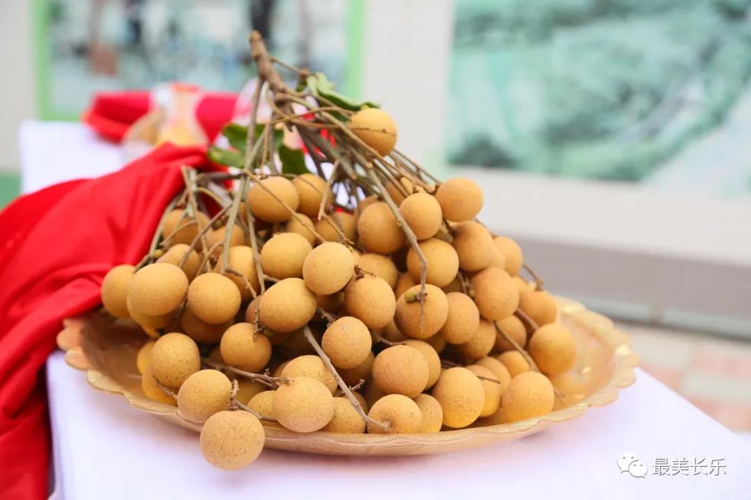 “金果”枝頭俏，文化節(jié)鼓起果農(nóng)“錢袋子”