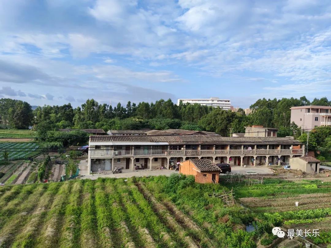 漳港街道門樓村共享時光產(chǎn)業(yè)園：“微度假”悄然興起 樂享恬適慢生活