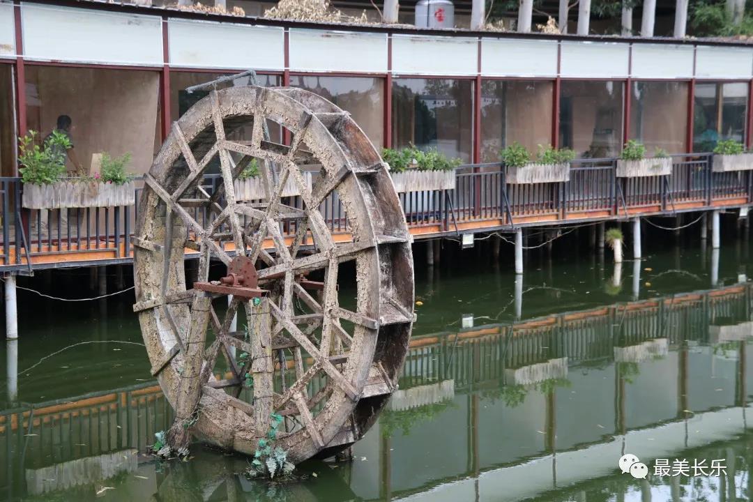 漳港街道門樓村共享時光產(chǎn)業(yè)園：“微度假”悄然興起 樂享恬適慢生活