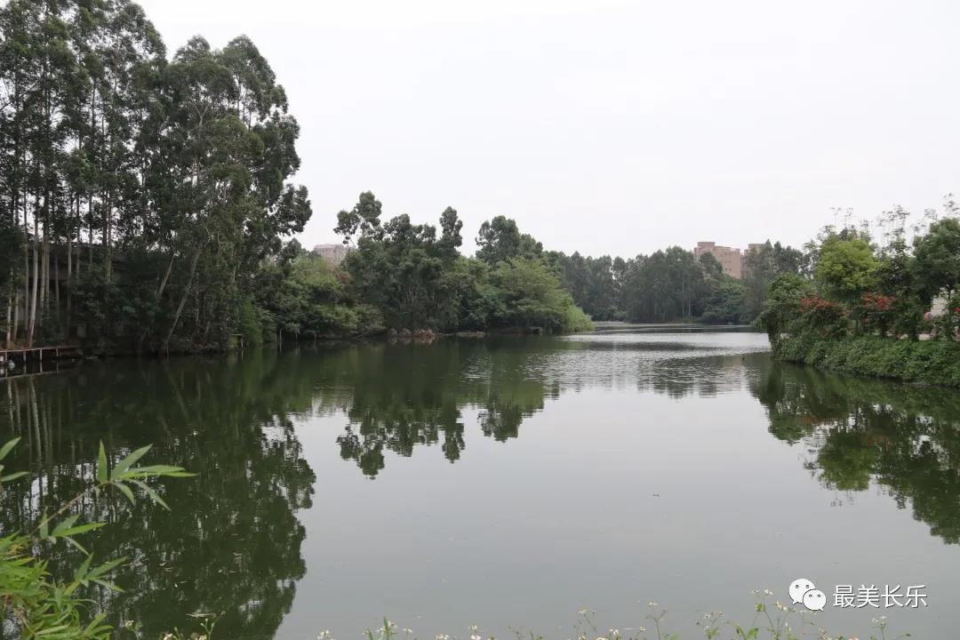 漳港街道門樓村共享時光產(chǎn)業(yè)園：“微度假”悄然興起 樂享恬適慢生活