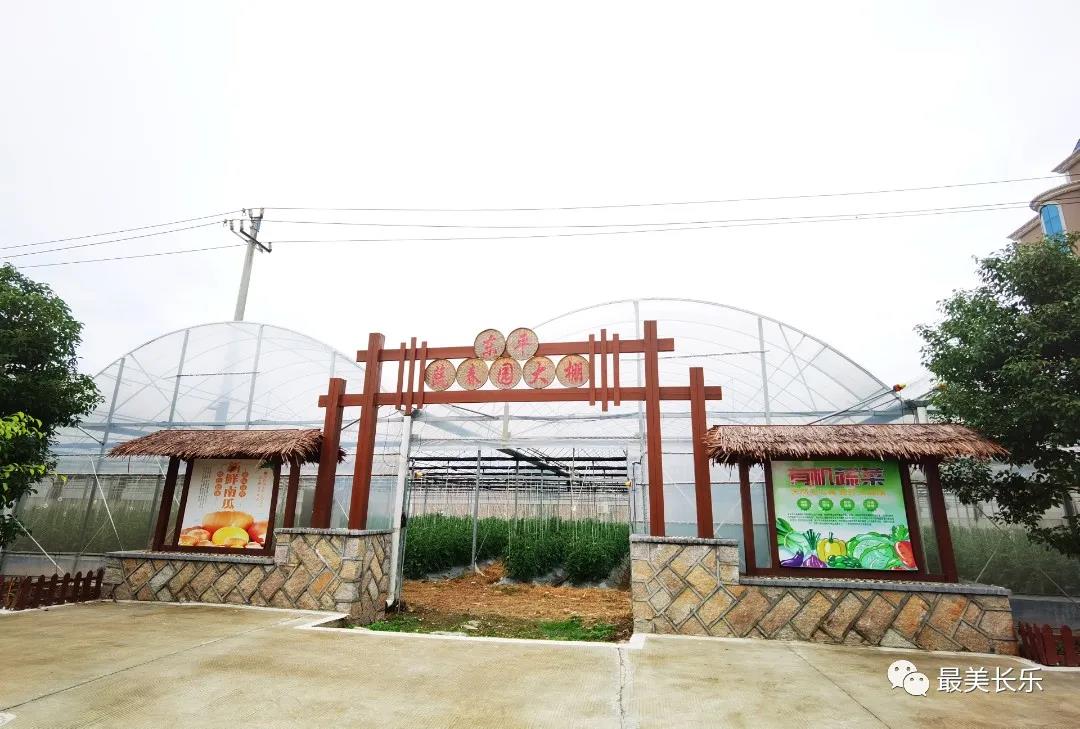 東平村：解鎖鄉(xiāng)村振興“密碼” 共建美好家園