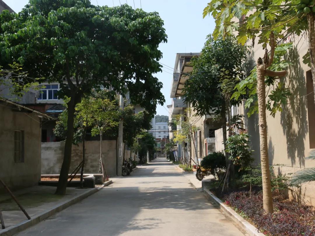 鵬謝村：振興有實(shí)招 村民展笑顏