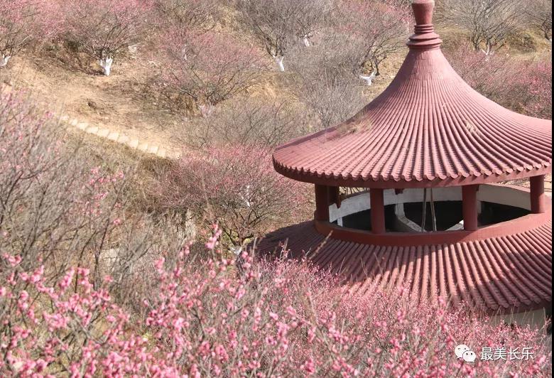 來啦！梅花“漁”你相約迎新！