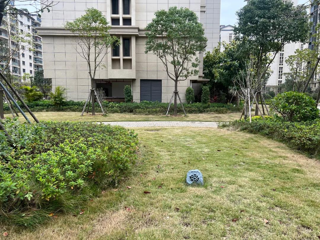 文武砂街道壺新社區(qū)：智慧社區(qū)的“智”生活