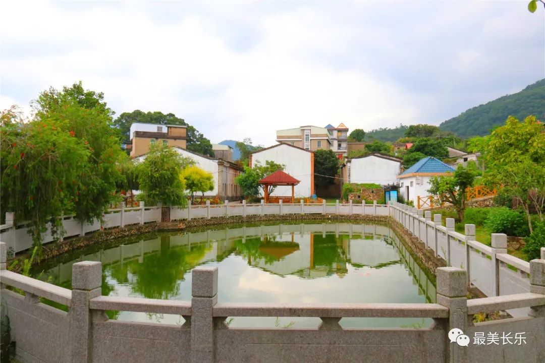 登山遠(yuǎn)眺，嘗百年“妃子笑”，這個(gè)鎮(zhèn)深藏不露！