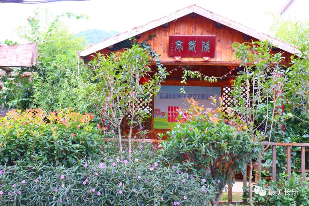 登山遠(yuǎn)眺，嘗百年“妃子笑”，這個(gè)鎮(zhèn)深藏不露！