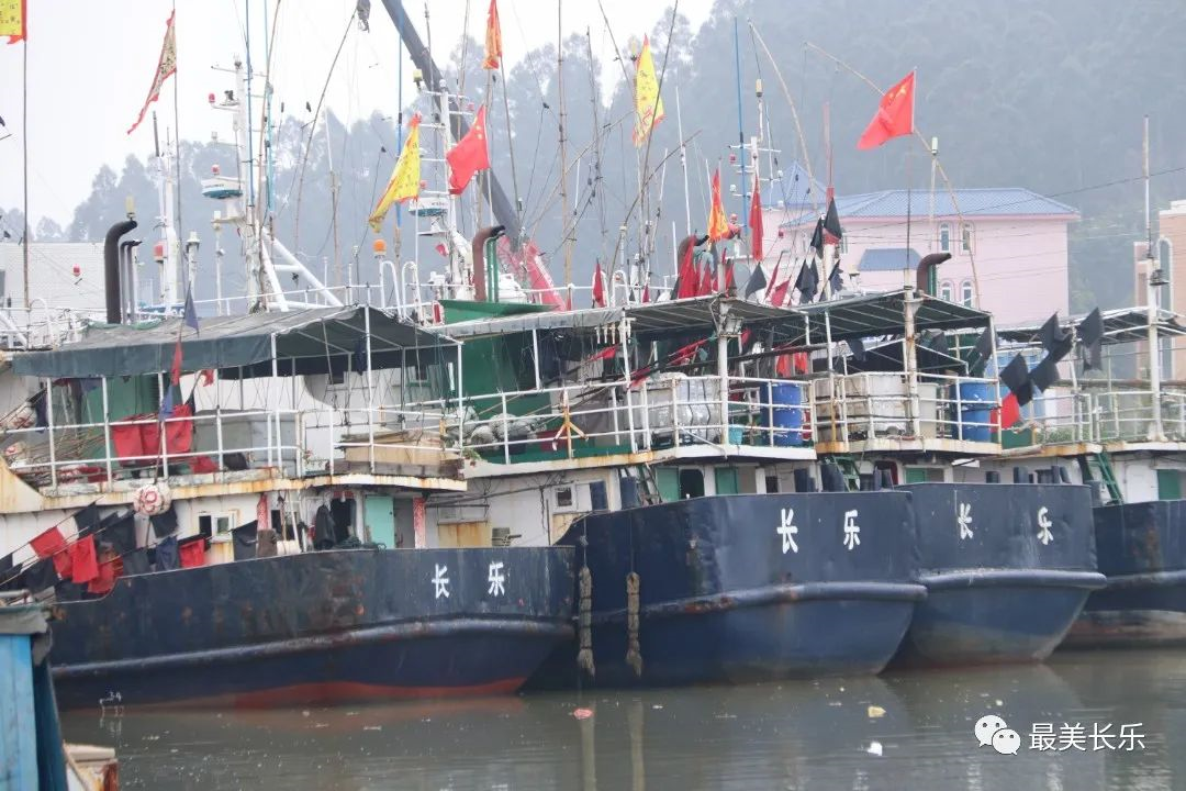 潭頭加速推進二級漁港升級改造！完工時間就在……