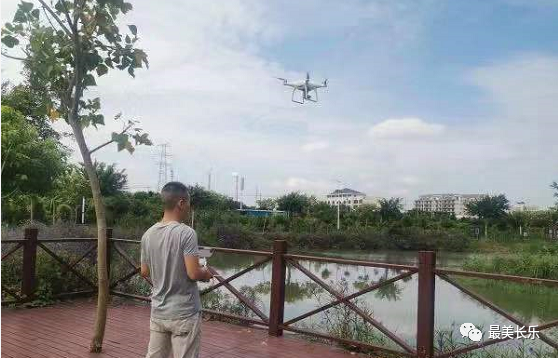 多措并舉！航城街道守護水清岸綠