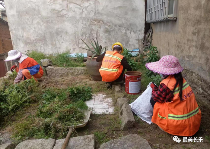 創(chuàng)建“黨建＋河湖長制”！梅花鎮(zhèn)開啟管護新模式