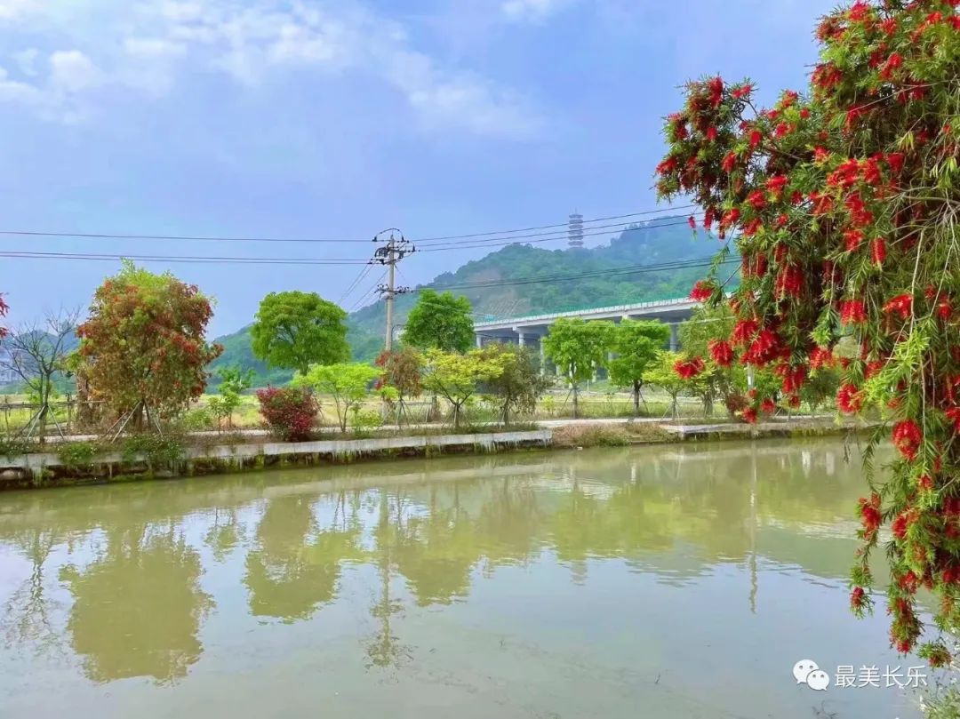 如何打造“高顏值”河湖？這個鄉(xiāng)鎮(zhèn)治水有一套