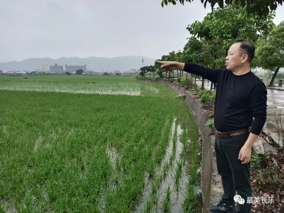 改革動態(tài)|田長制，護耕地！長樂農(nóng)民有福氣！