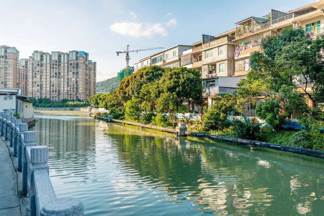 住的“靚”！日子“甜”！這個街道有一手……
