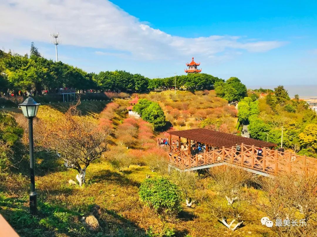 【網(wǎng)絡(luò)中國節(jié)?春節(jié)】新春走基層丨有古城有“梅”景！這個春節(jié)一起相約打卡！