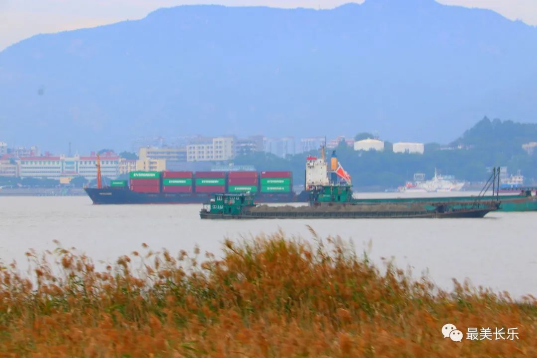 文旅頻頻出圈，猴嶼鄉(xiāng)的“流量密碼”是……
