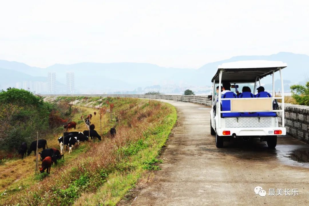 文旅頻頻出圈，猴嶼鄉(xiāng)的“流量密碼”是……