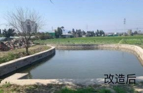 贊！ 這個街道“三問于民”做法亮了！