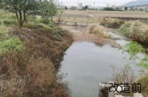 贊！ 這個街道“三問于民”做法亮了！