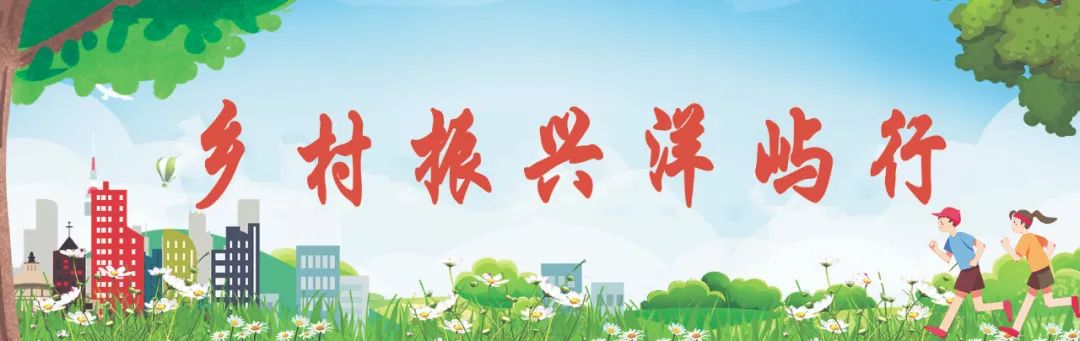 黃了枝頭、甜上心頭！長樂這里的沃柑熟啦→