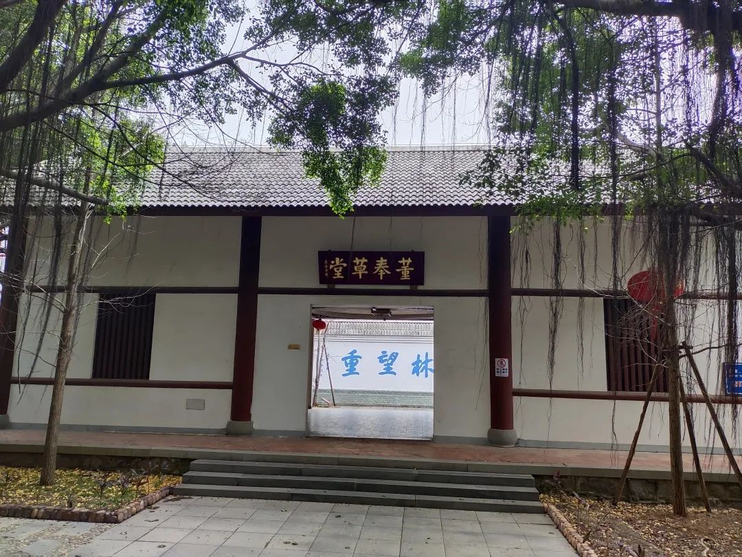 看！龍?zhí)锎迦绾谓怄i鄉(xiāng)村振興“幸福密碼”