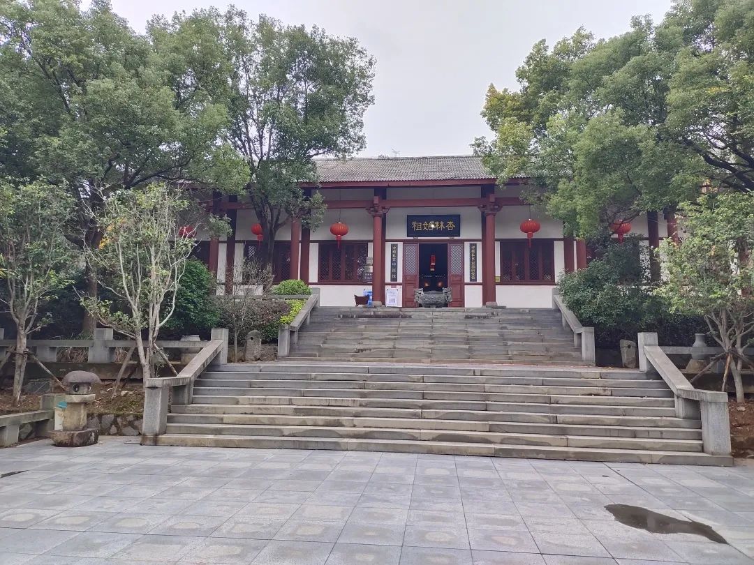 看！龍?zhí)锎迦绾谓怄i鄉(xiāng)村振興“幸福密碼”