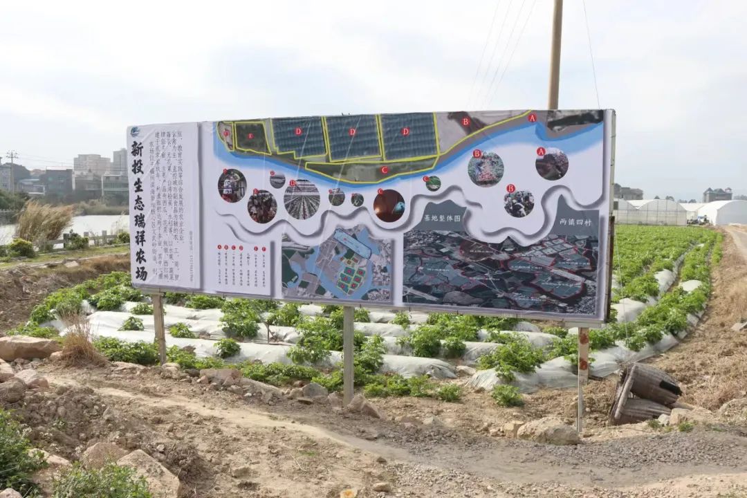 爭優(yōu)！爭先！爭效！來這里享受向往的生活！