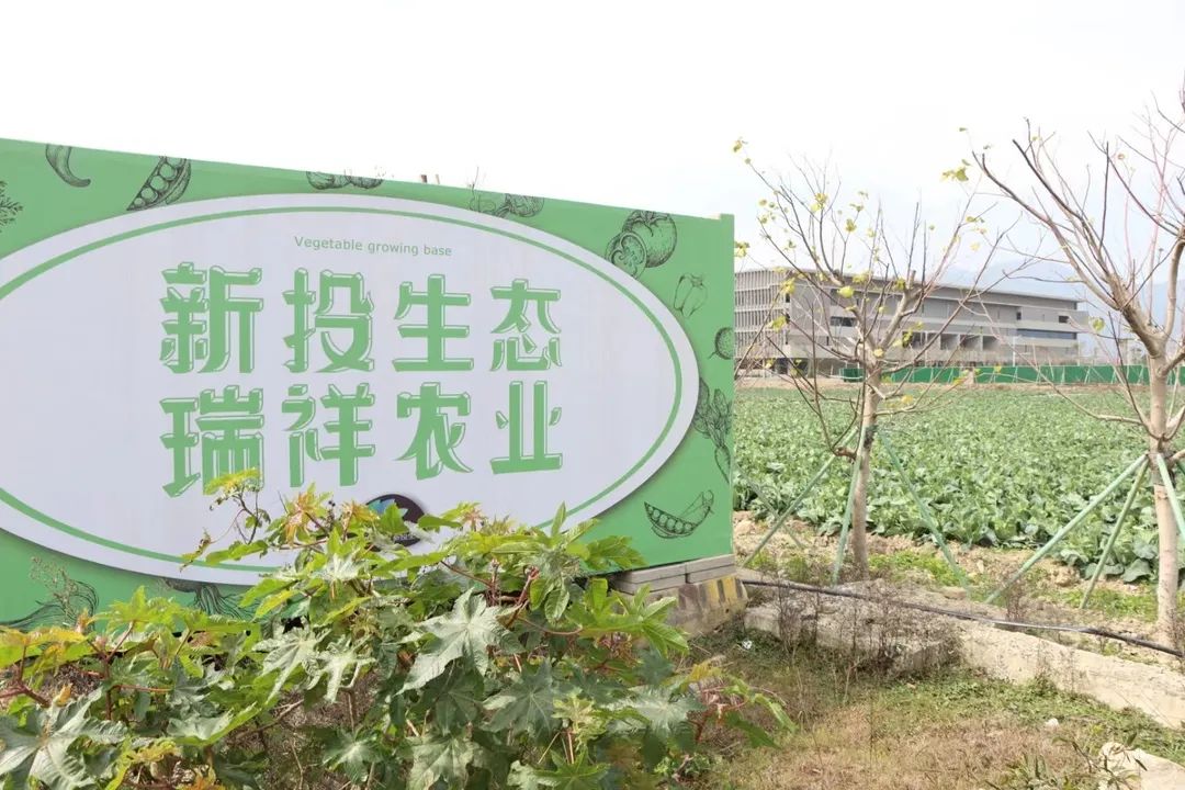 爭優(yōu)！爭先！爭效！來這里享受向往的生活！