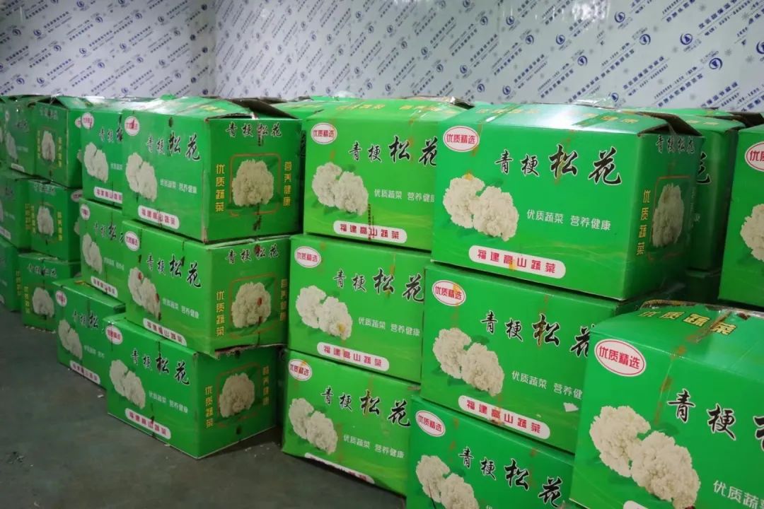 爭優(yōu)！爭先！爭效！來這里享受向往的生活！
