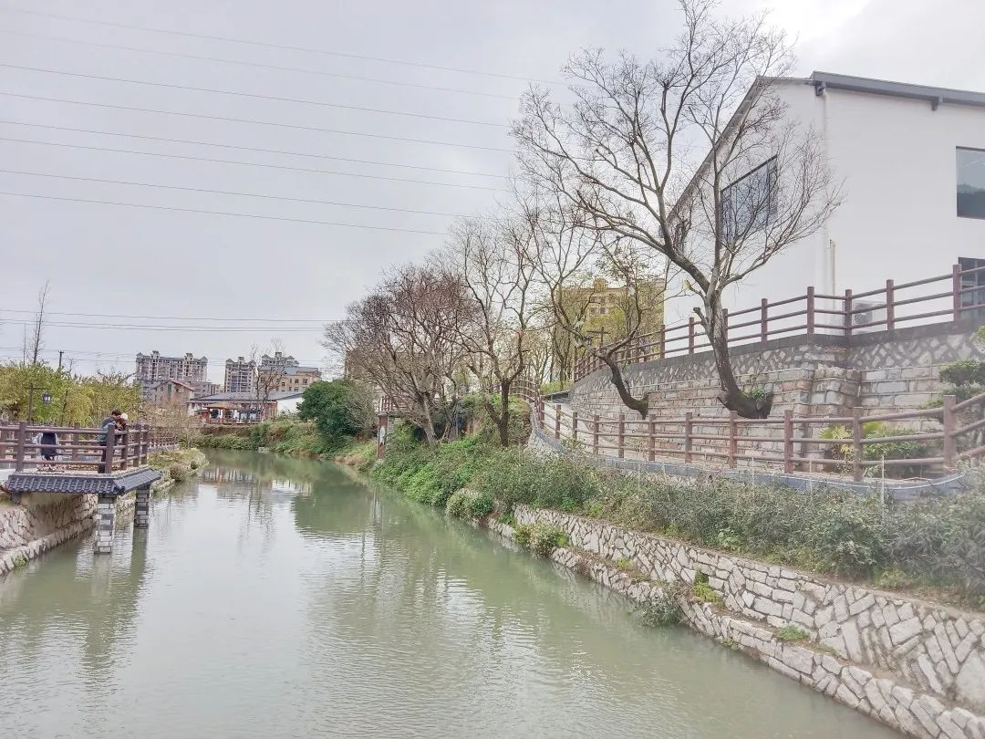 鄉(xiāng)廚館、文創(chuàng)蘑菇房……長樂這個村，要火！
