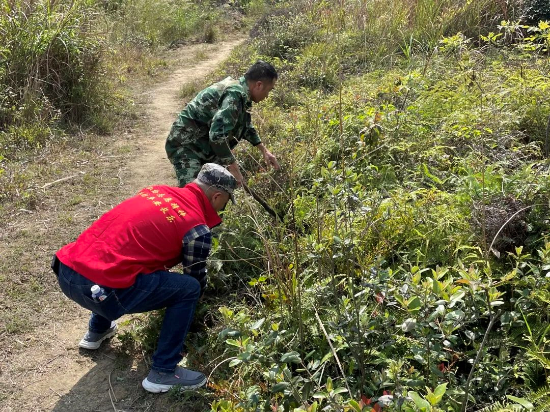 擰緊森林防火“安全閥”，他們這樣做→