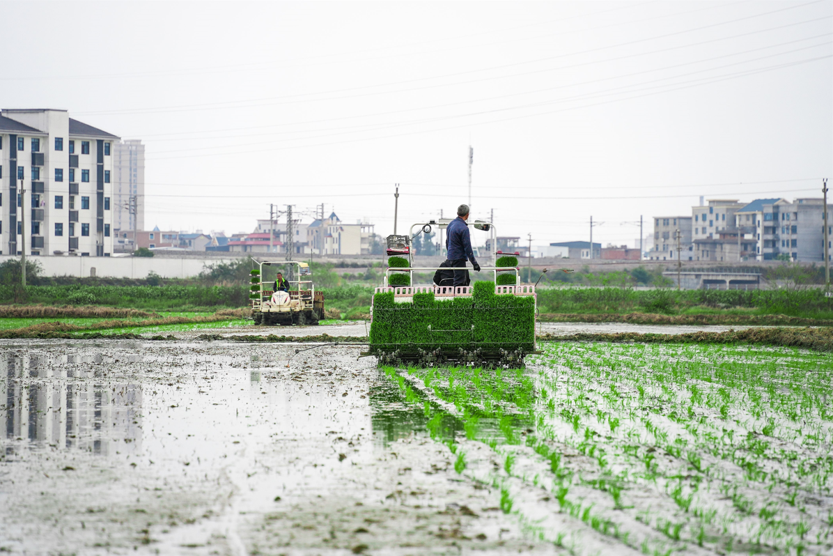 亮了！機(jī)械化作業(yè)為長樂春耕打開新圖景