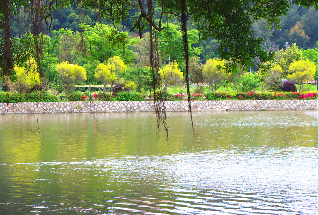 望得見(jiàn)山、看得見(jiàn)水、記得住鄉(xiāng)愁！長(zhǎng)樂(lè)這個(gè)村是如何做到的？