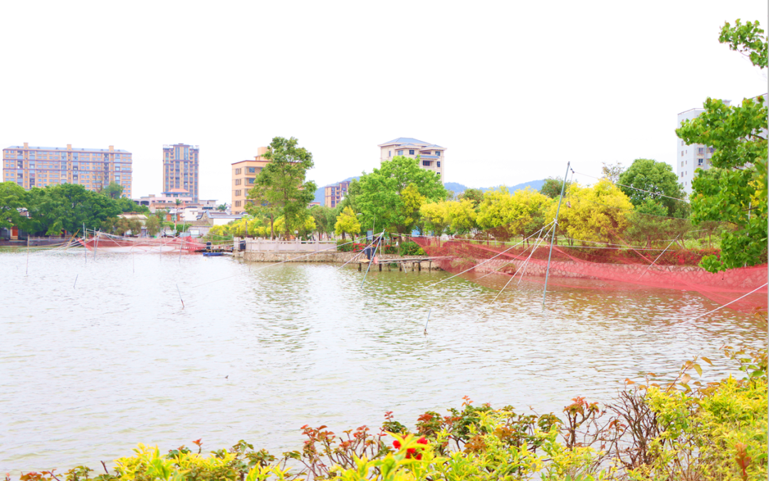 望得見(jiàn)山、看得見(jiàn)水、記得住鄉(xiāng)愁！長(zhǎng)樂(lè)這個(gè)村是如何做到的？
