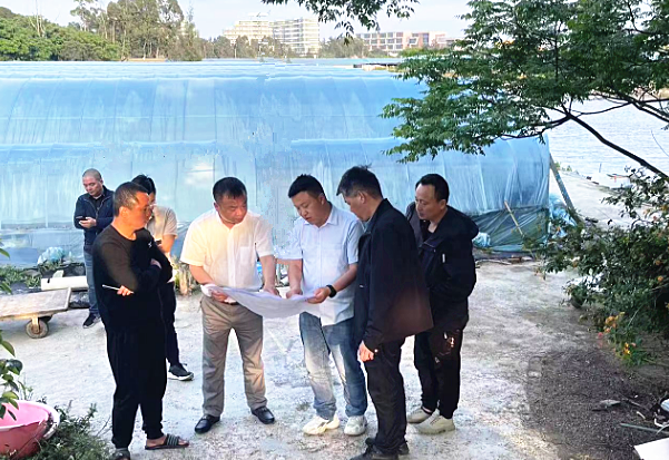 三問于民！漳港街道征遷跑出“加速度”！