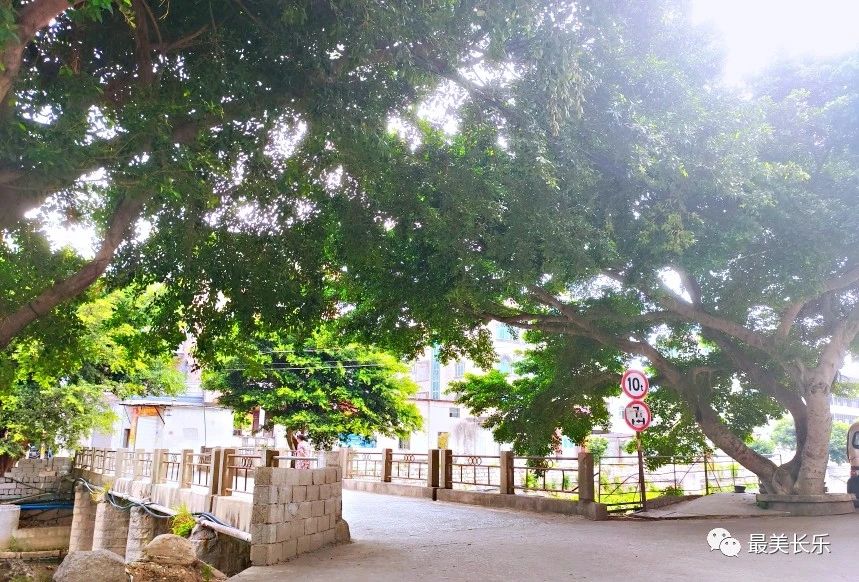 讓“真、善、美”雙向奔赴！長樂這里好鄉(xiāng)風(fēng)積出來！