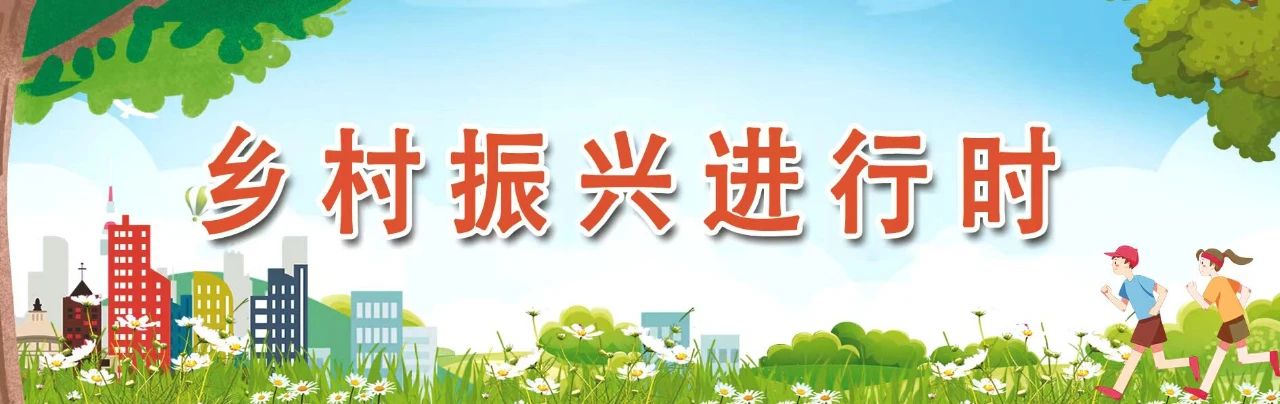 “香”承百年！看長(zhǎng)樂這朵花是如何開出“真金白銀”的……