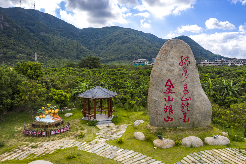 10萬株！產(chǎn)量500萬斤！長樂“黃金果”真甜！