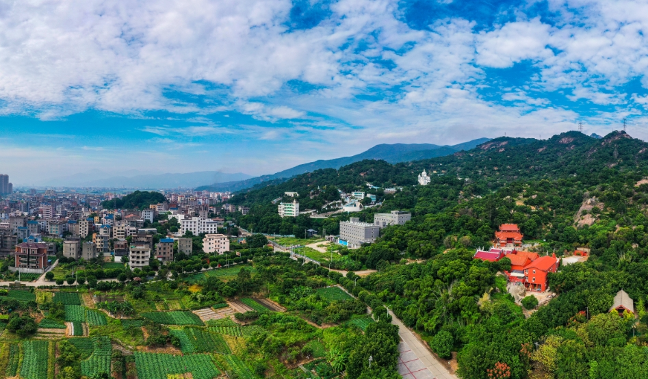 以學(xué)促干！長(zhǎng)樂這個(gè)鄉(xiāng)鎮(zhèn)推動(dòng)主題教育見實(shí)效