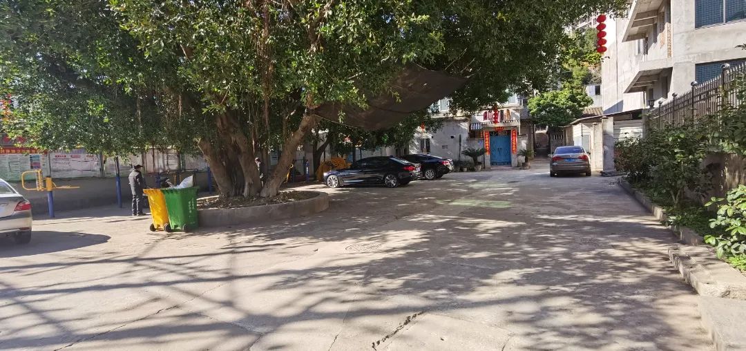 走“實”走“心”！這個街道主題教育答卷有溫度