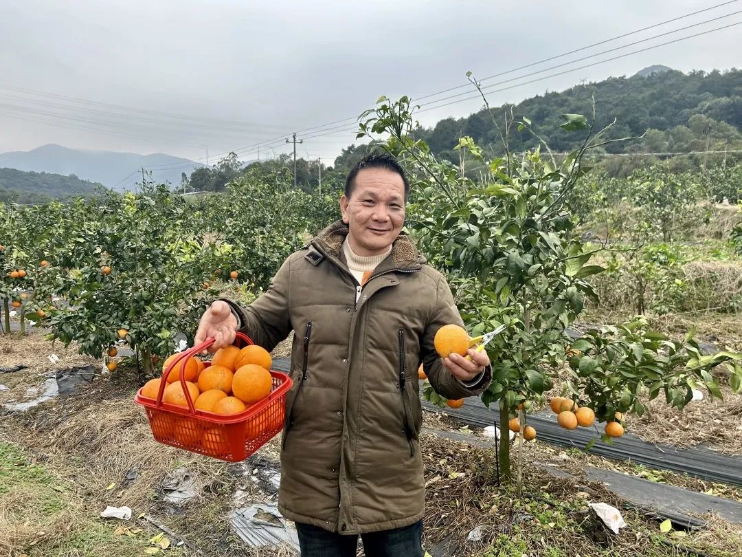 甜蜜爆汁！“紅美人”來長樂啦！