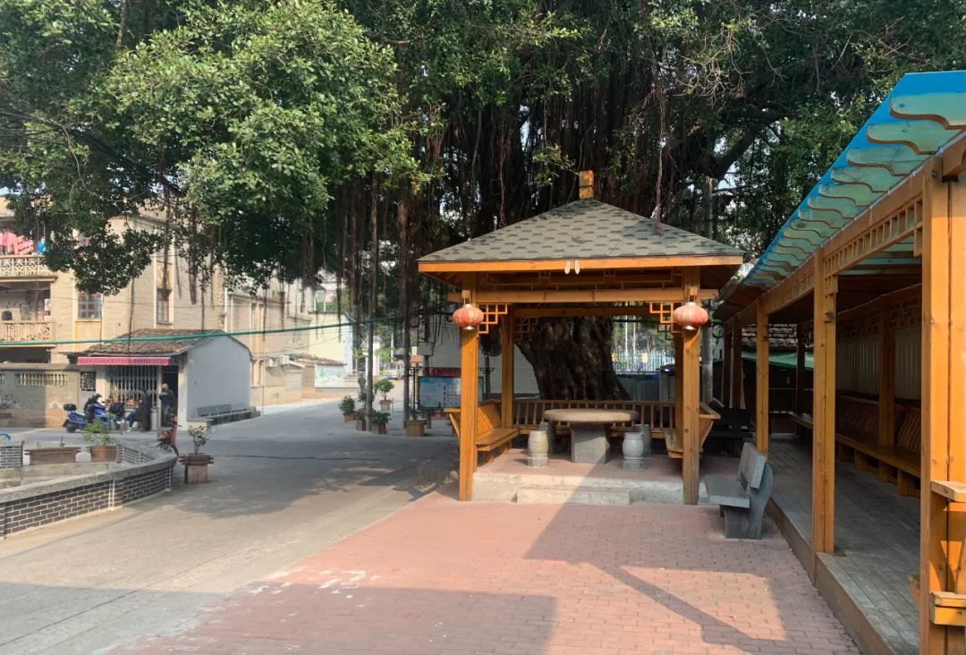 福州“十佳精美小街巷”揭榜！長樂這條寶藏小巷去過嗎→