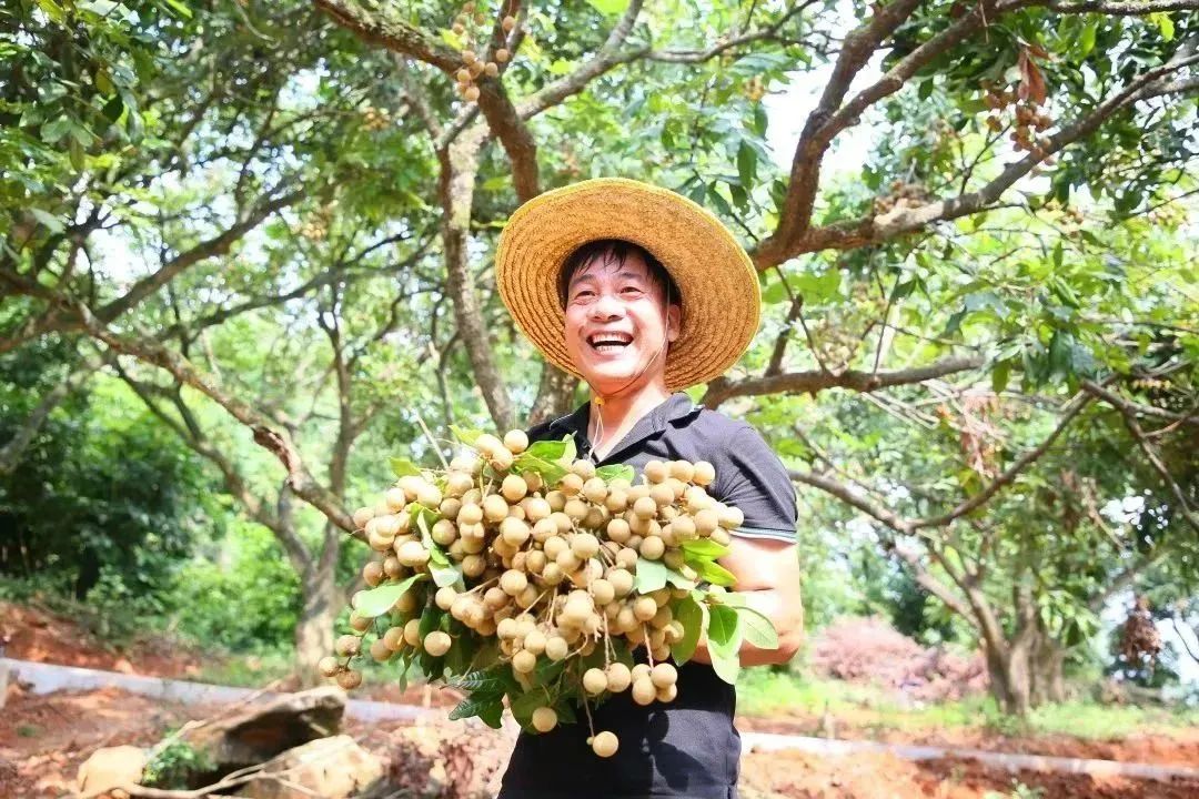 主題教育奏強音 “農(nóng)”墨重彩話振興