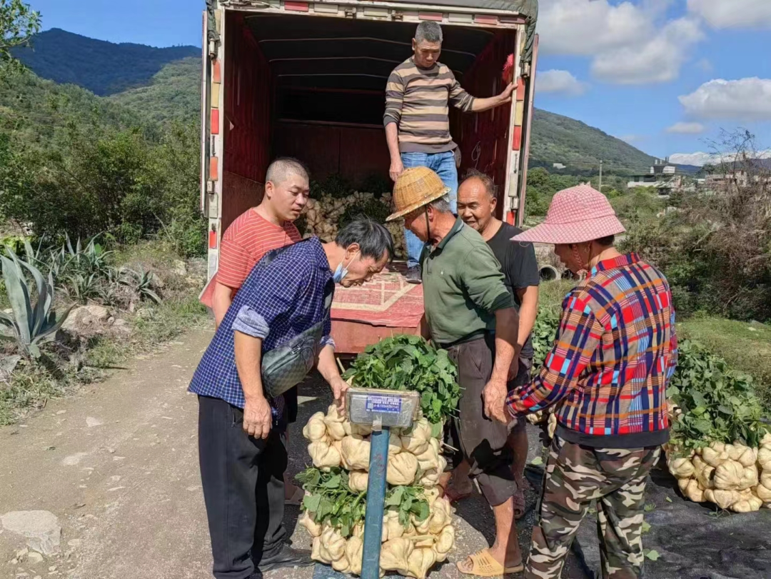 點贊送錦旗！他們?yōu)榇迕窠鉀Q了這個難題……