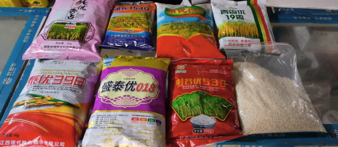 奔跑在春天！長(zhǎng)樂(lè)牢牢守護(hù)“希望的種子”