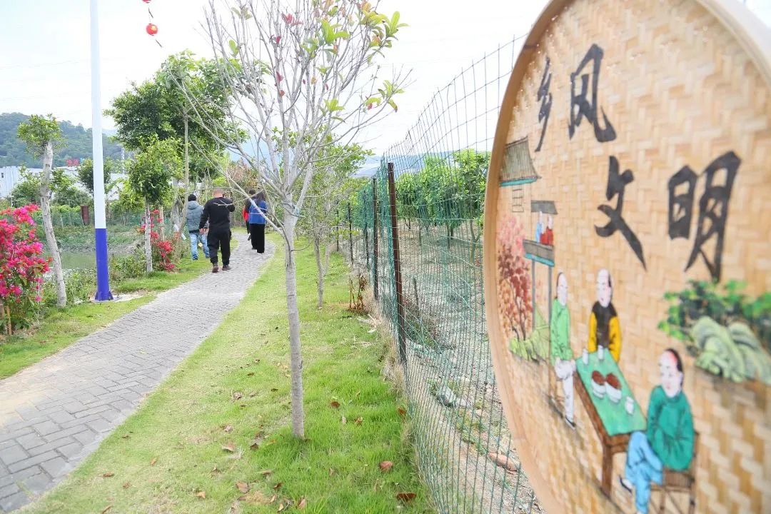 刷出“高顏值”！長樂這個村居的小妙招有“魔力”