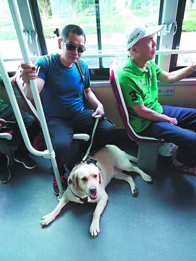 福州第一只導盲犬卡拉和它的“爸爸”