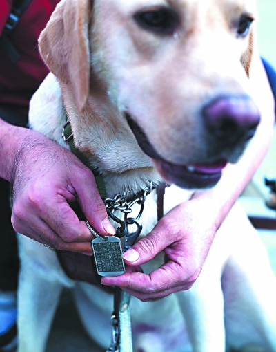 福州第一只導盲犬卡拉和它的“爸爸”