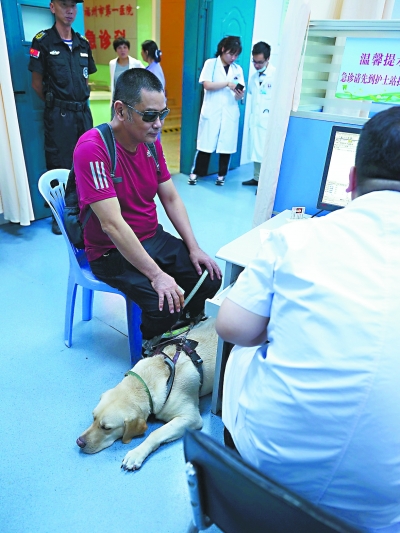 福州第一只導盲犬卡拉和它的“爸爸”