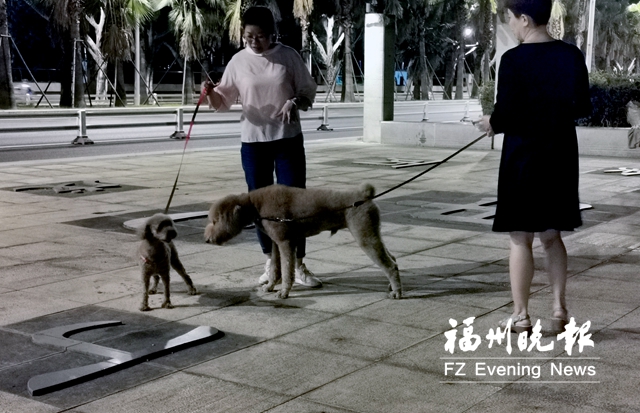 福州如何治理狗患？各方積極建言獻(xiàn)策